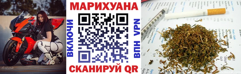 Купить где  Закаменск  Канабис индика 
